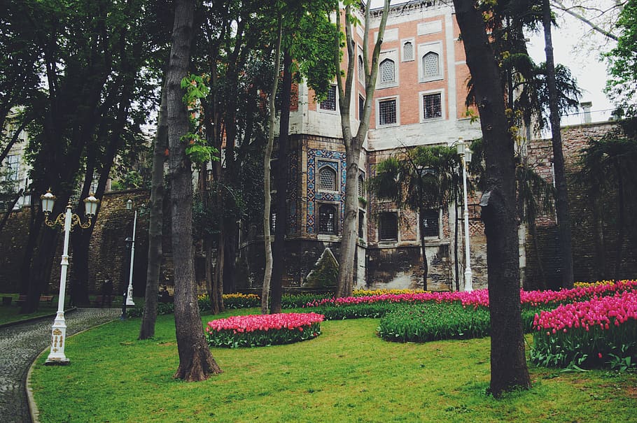 istanbul, turkey, garden, forest, trees, plant, architecture HD wallpaper