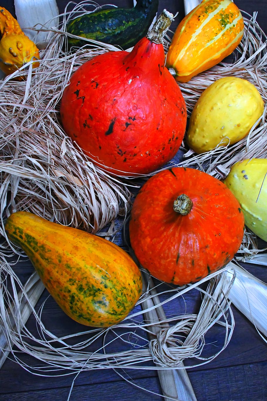 decorative pumpkins, orange, october, color, halloween, decoration HD wallpaper