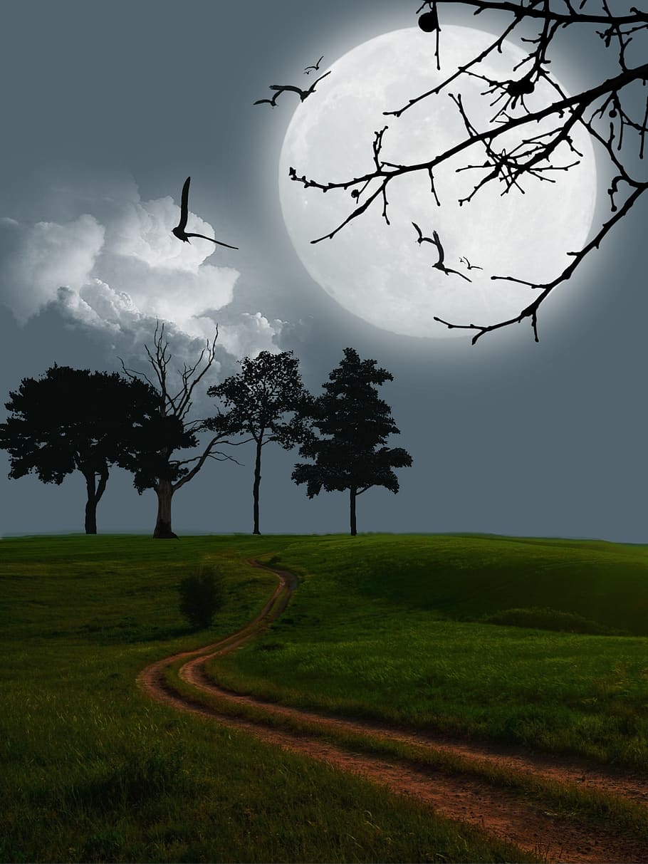 digital art, artwork, moon, mystery, landscape, scene, fantasy HD wallpaper
