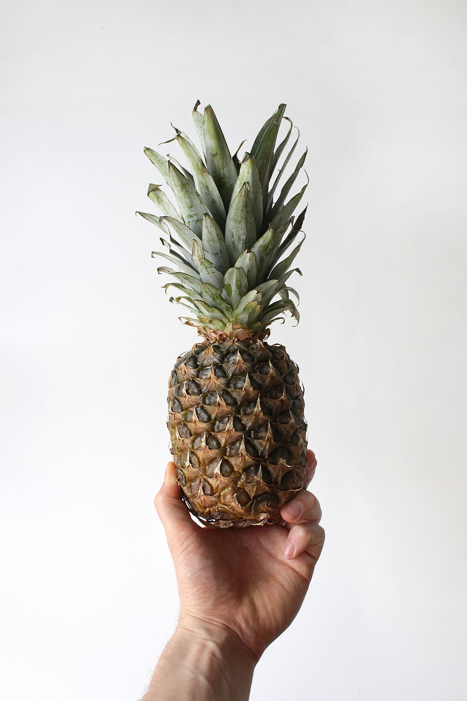 person showing pineapple fruit, plant, food, human, ananas, fruit in hand HD wallpaper
