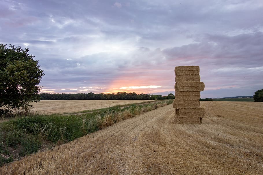 normandy, france, fields, sunset, dawn, twilight, orange, landscape HD wallpaper