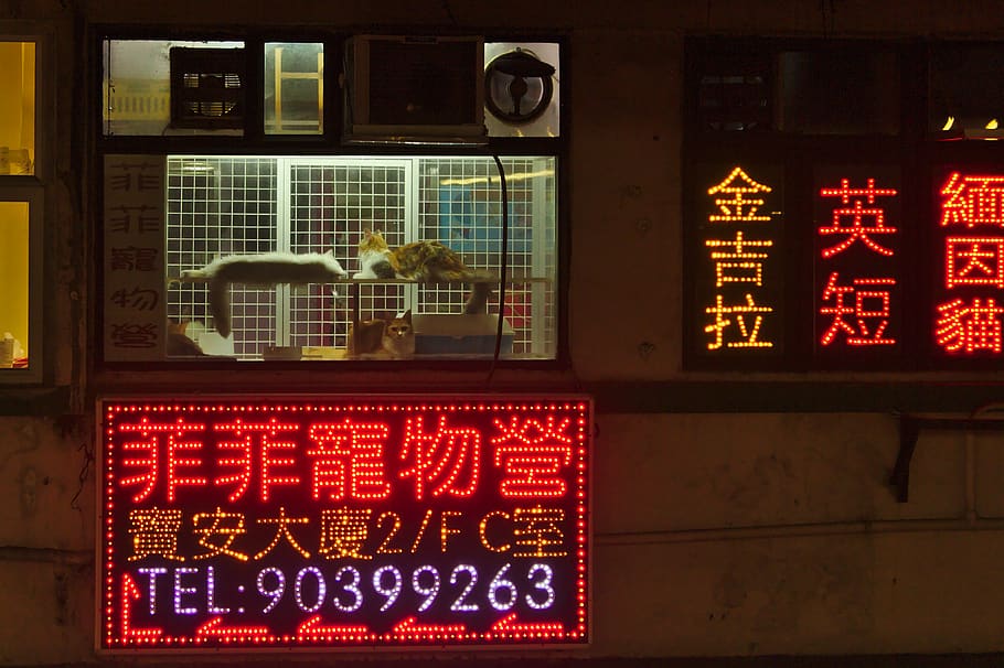 90399263 telephone number, building, town, metropolis, city, urban HD wallpaper