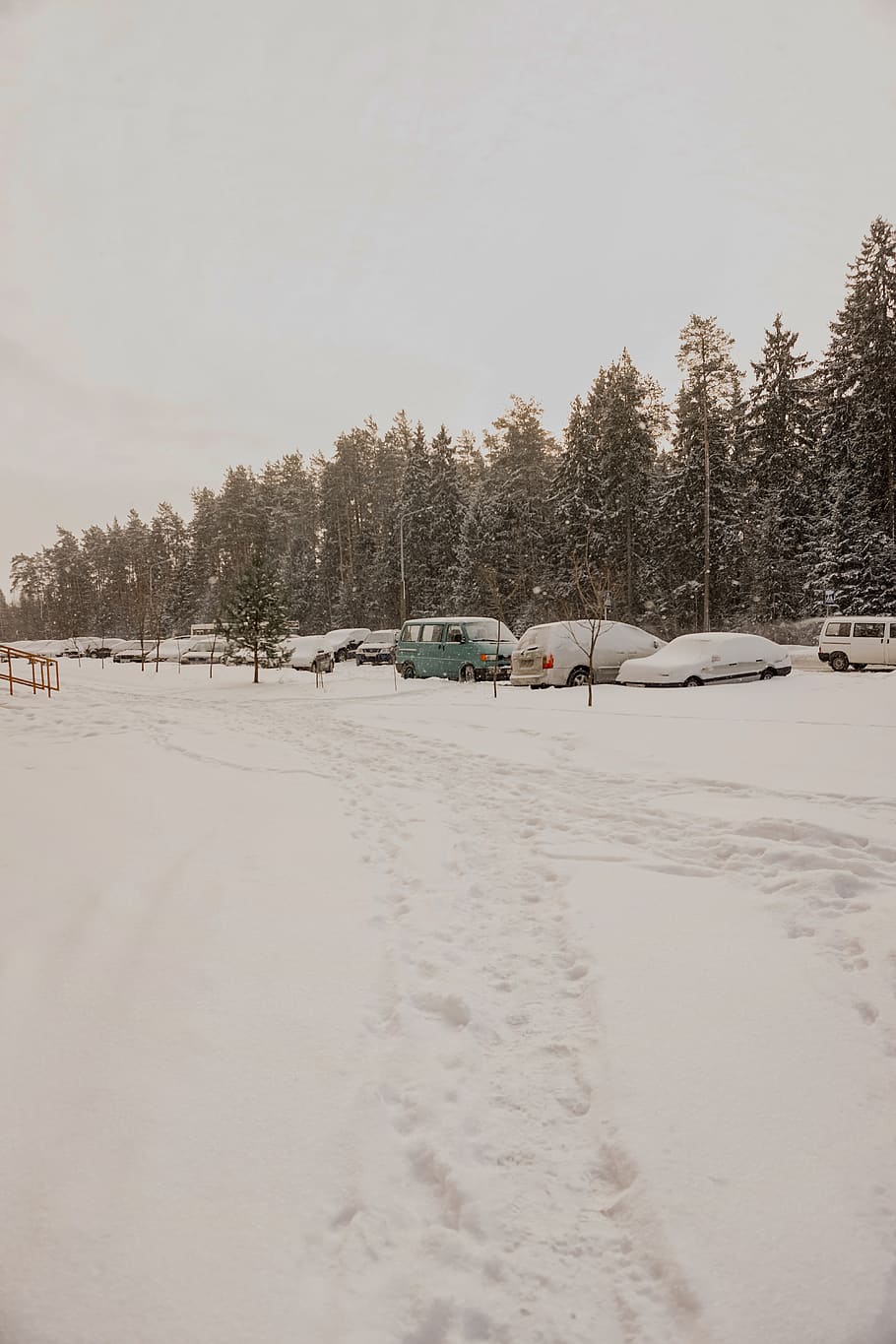 snow, winter, cold temperature, car, mode of transportation HD wallpaper