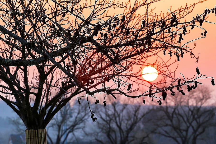 nature, outdoors, sunset, sky, dusk, dawn, red sky, sunlight HD wallpaper