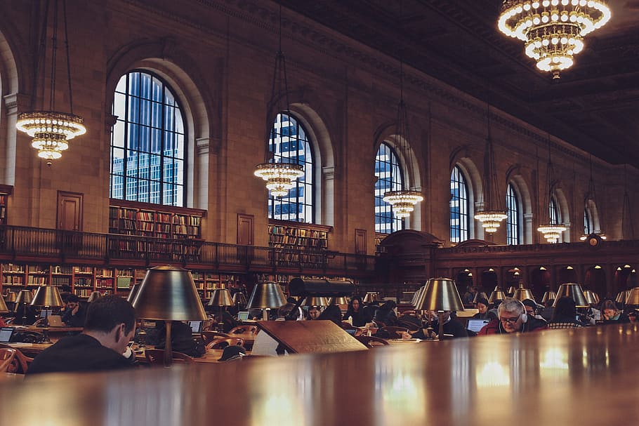 Photo of People in the Library, architecture, books, building HD wallpaper