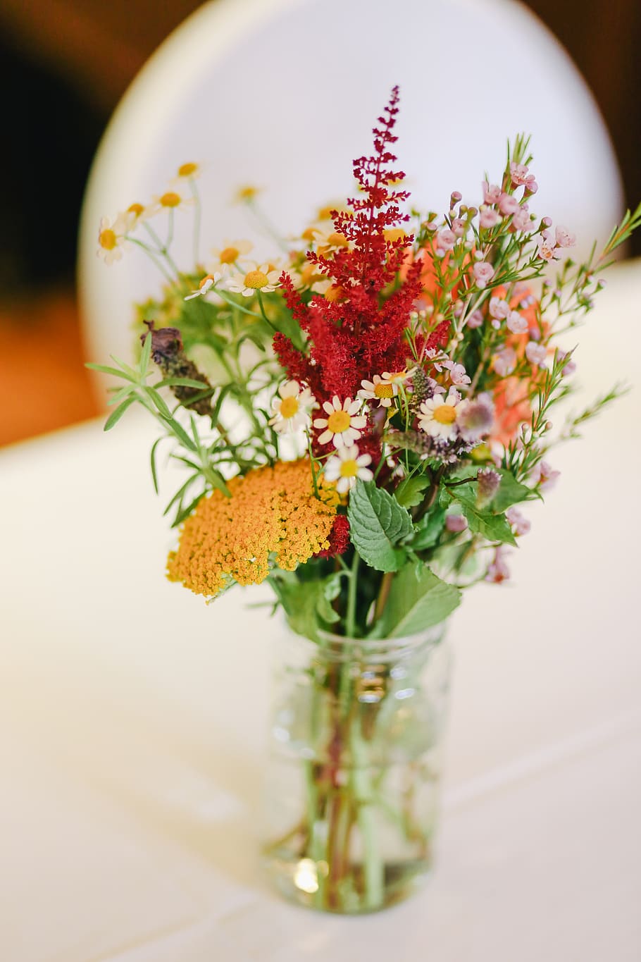 wedding, flower, wild, flowering plant, freshness, vulnerability HD wallpaper