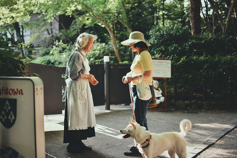 people, sun, dog, pets, real people, domestic animals, mammal HD wallpaper