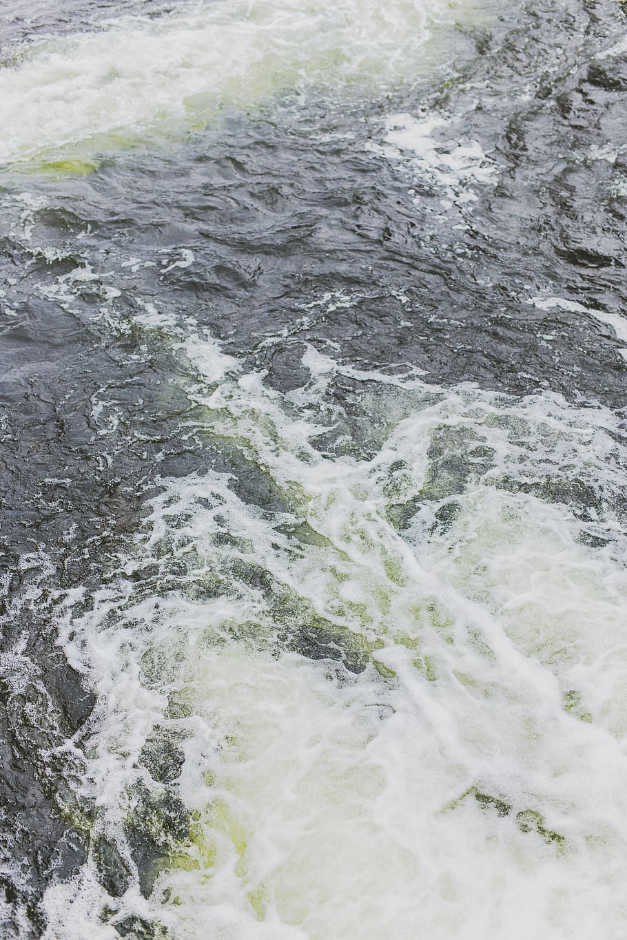 romania, bucharest, green, white, river, forest, adventure HD wallpaper
