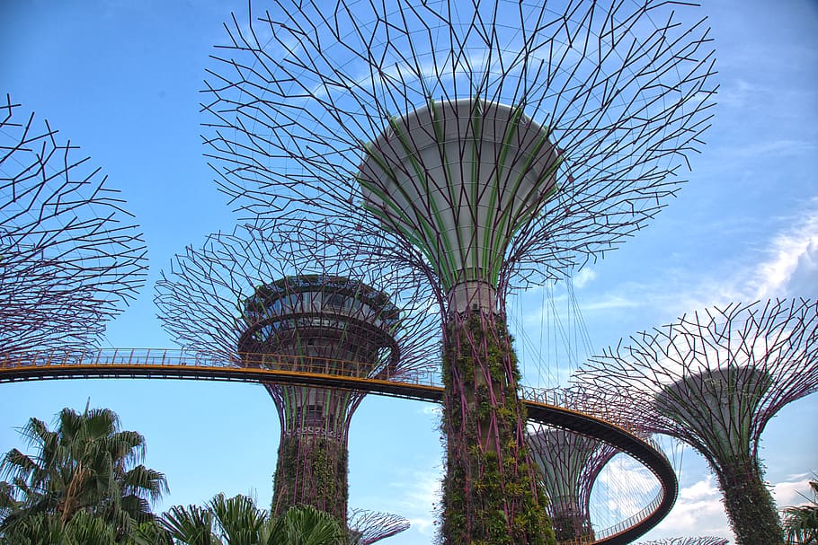 singapore, super trees, supertree, modern, landmark, tourism, HD wallpaper
