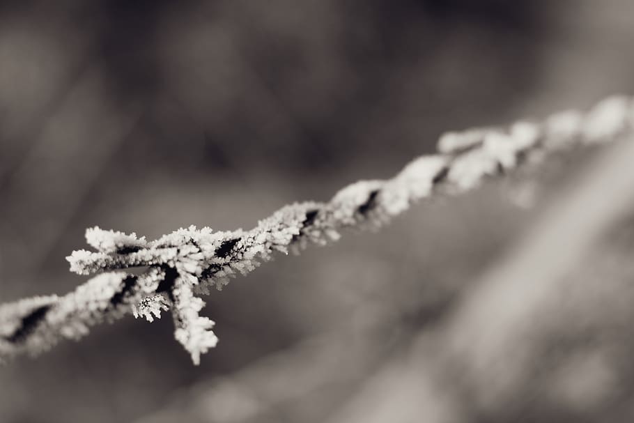 outdoors, ice, nature, snow, frost, winter, dangerous, risky HD wallpaper