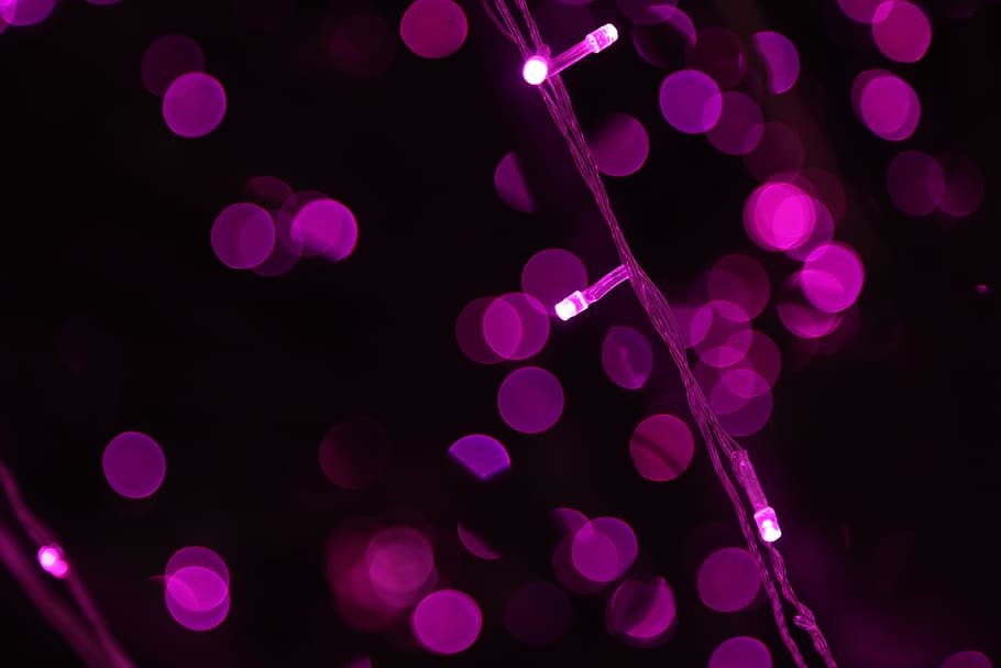 Purple String Lights Wallpaper, blurred, illuminated, macro, defocused HD wallpaper