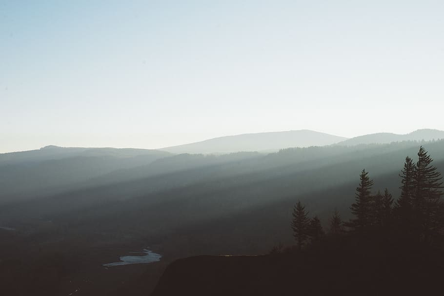 fade, forest, trees, explore, adventure, mountains, sunrise HD wallpaper