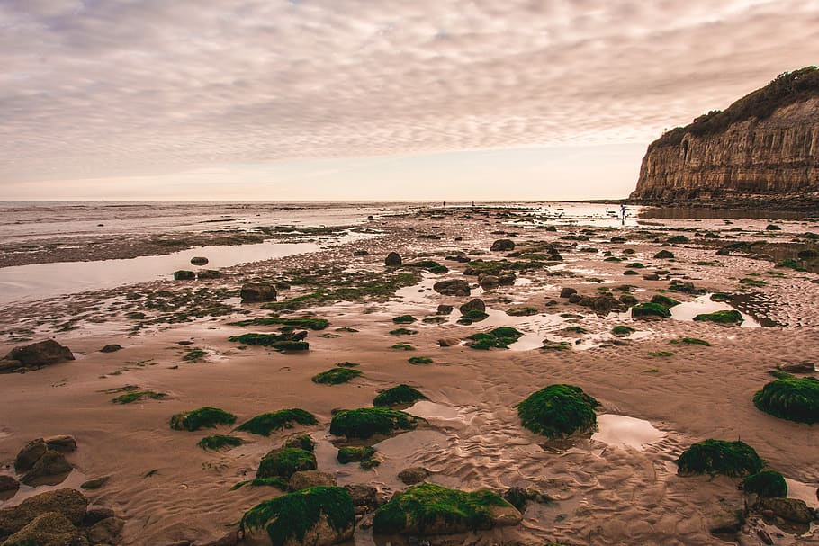 beach, dusk, sand, sea, coast, cliff, water, sky, rock, land HD wallpaper