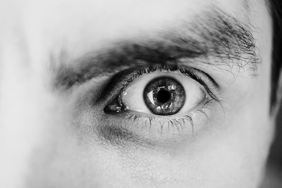 Grayscale Photo of Person's Left Eye, close-up, eyeball, eyebrow HD wallpaper