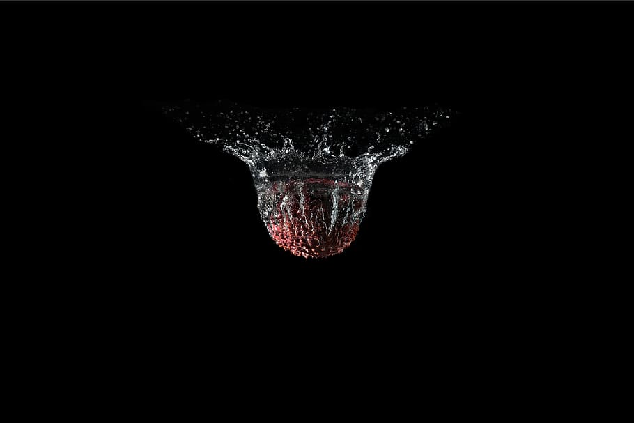 lychee, fruit, water, drip, wet, no people, nature, black background HD wallpaper