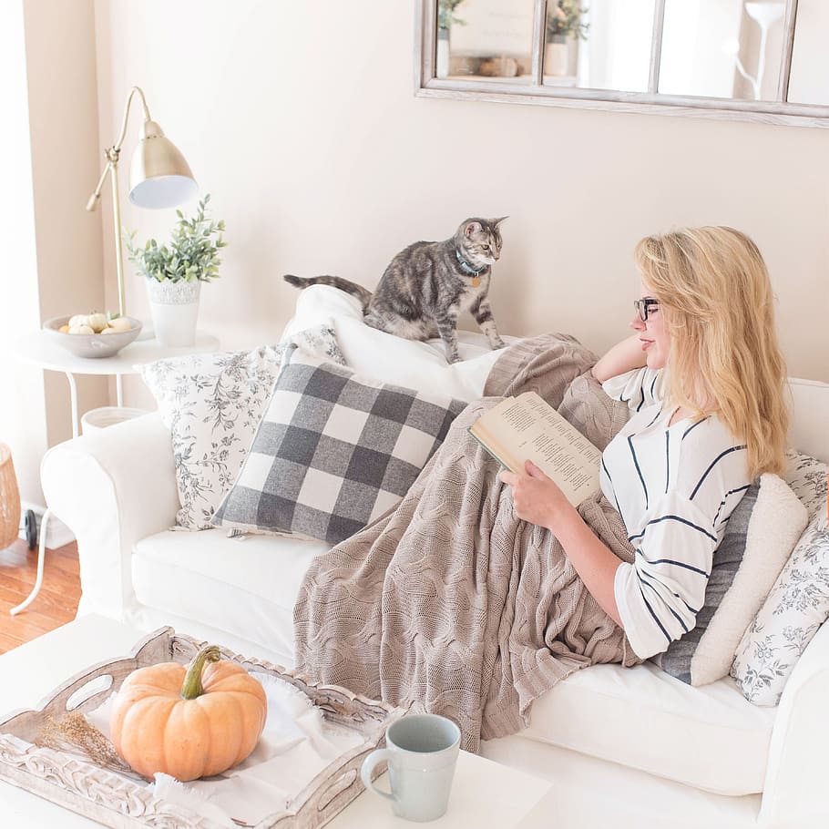 woman reading book on sofa, fall, cozy, comfortable, happy, farmhouse, HD wallpaper