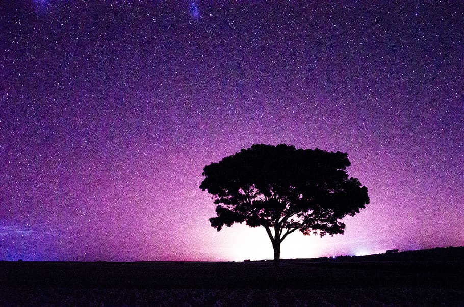 sky, star, dark, night, astronomy, lights, universe, trees HD wallpaper