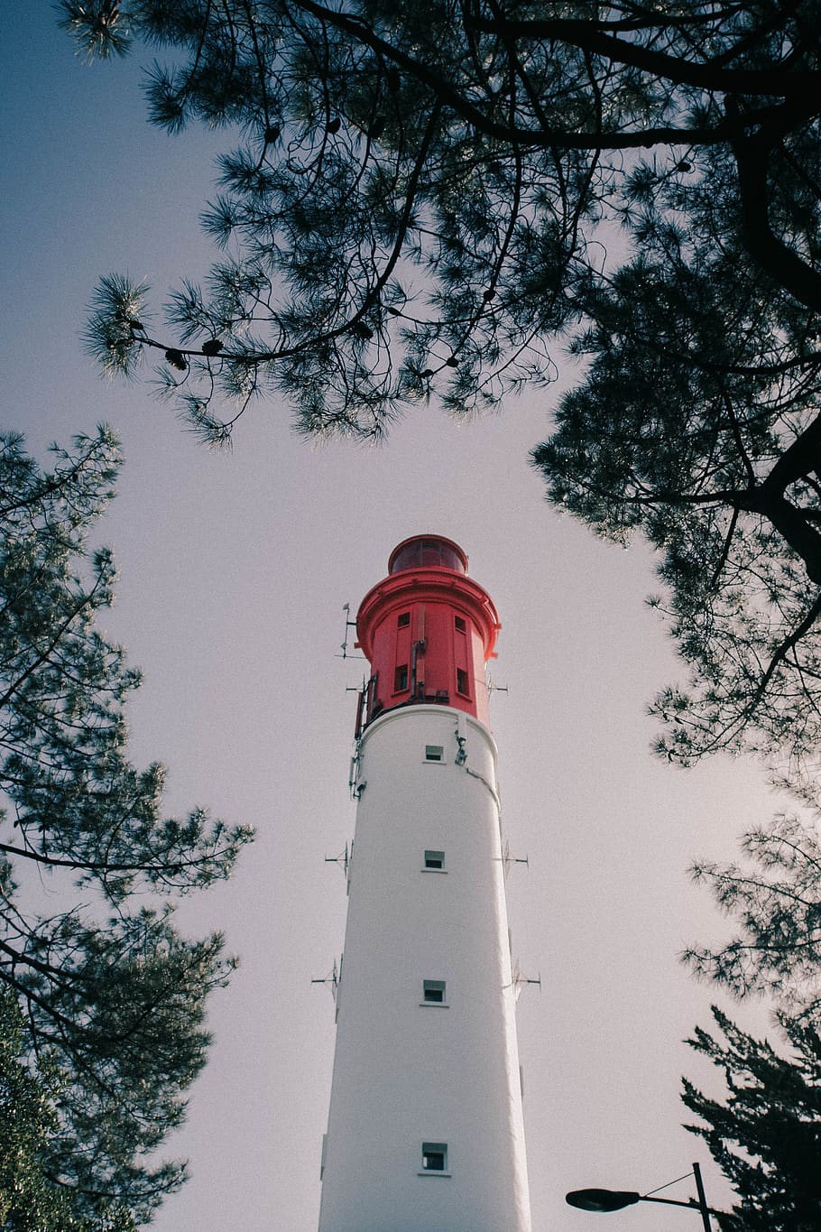 Lighthouse Near Tree, architecture, branch, branches, dawn, evening HD wallpaper