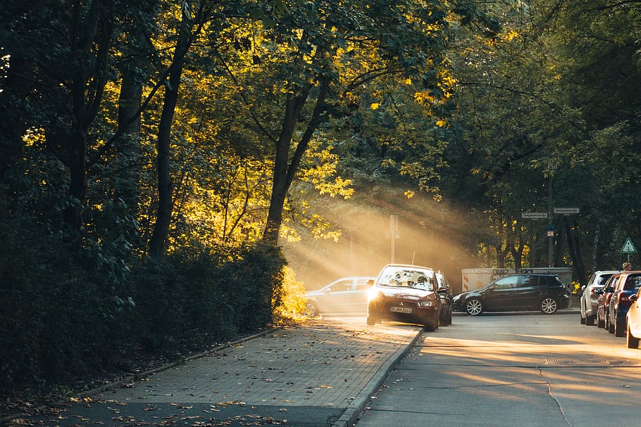 red car on road, mode of transportation, tree, motor vehicle HD wallpaper