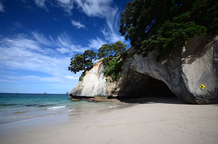 cave, tree, south pacific, beach, ocean, cove, new zealand HD wallpaper
