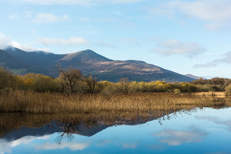 ireland, ross castle, reflection, forest, mountain, kerry, lake HD wallpaper