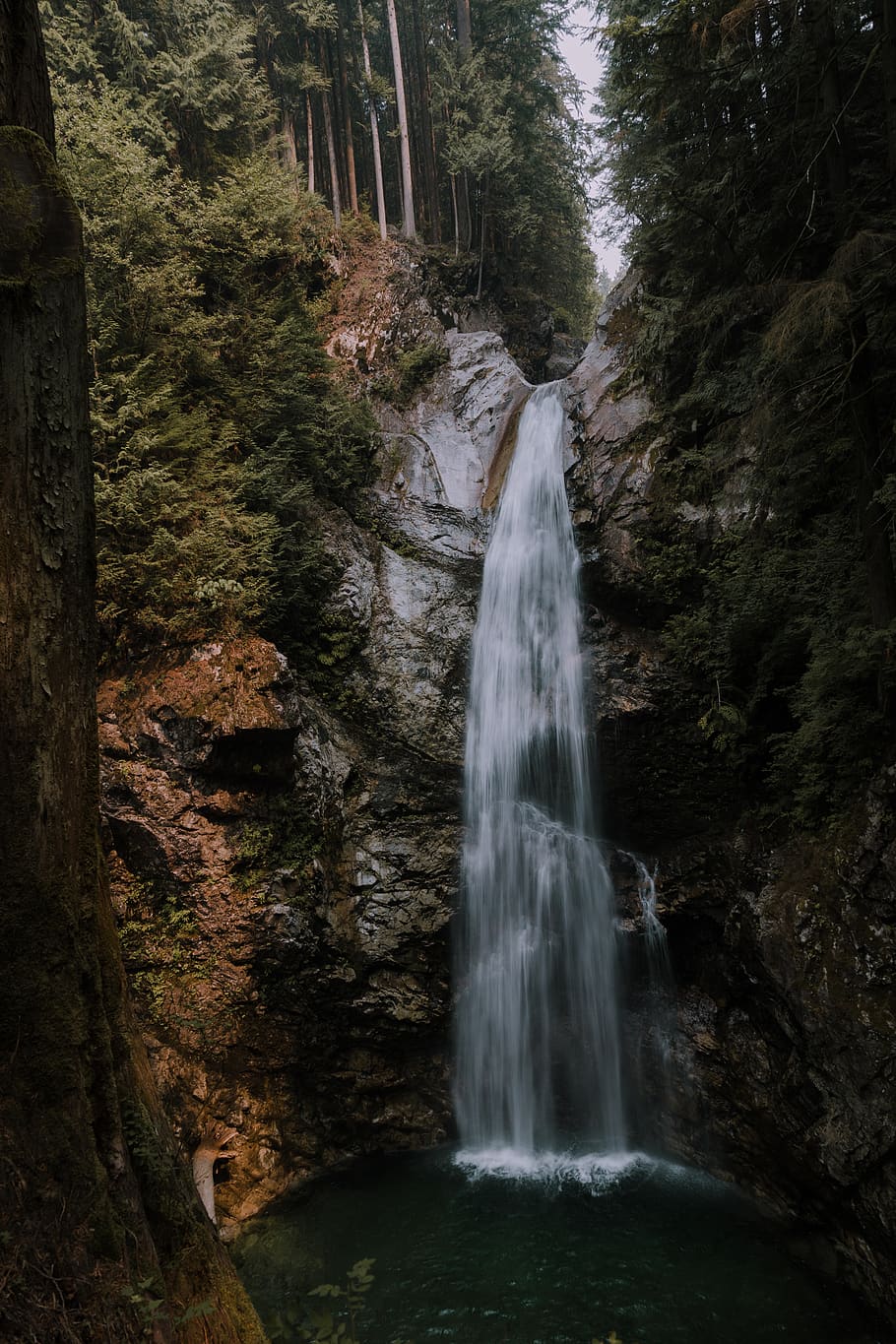canada, cascade falls trail, vertical, hd wallpaper, dreamy
