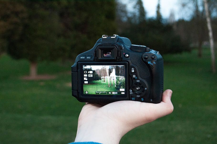 Shallow Focus Photography of Black Dslr Camera on Person's Right Hand HD wallpaper
