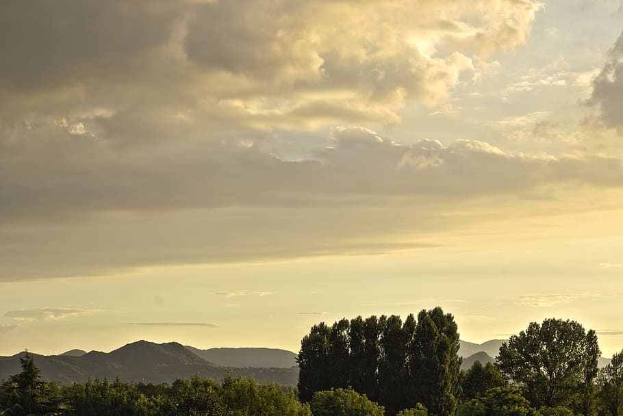 trees, sun, sunshine, sunset, sunrise, cloud - sky, scenics - nature HD wallpaper