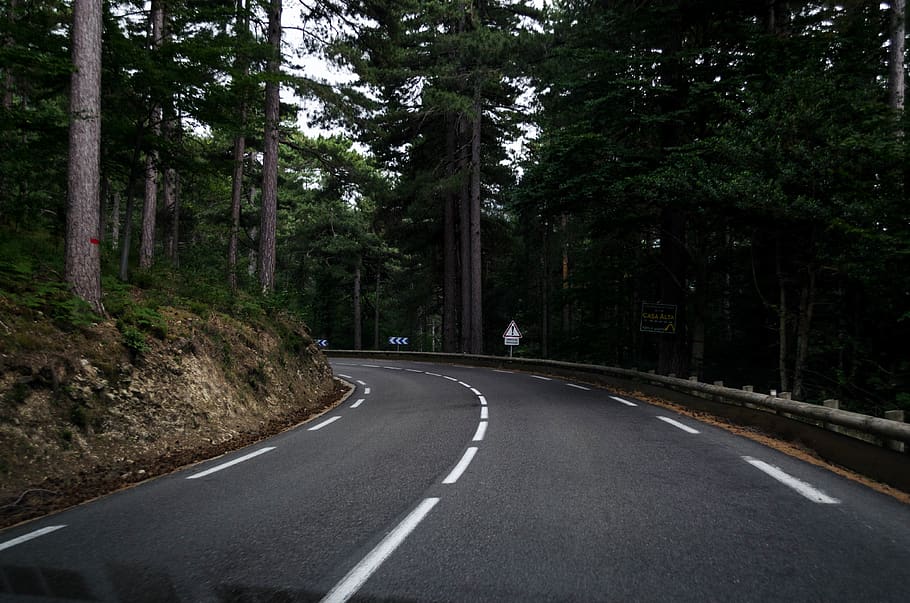 gray pavement road between trees, transportation, plant, symbol HD wallpaper