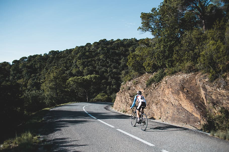 Country road cyclist on a curvy road surrounded by trees, green HD wallpaper