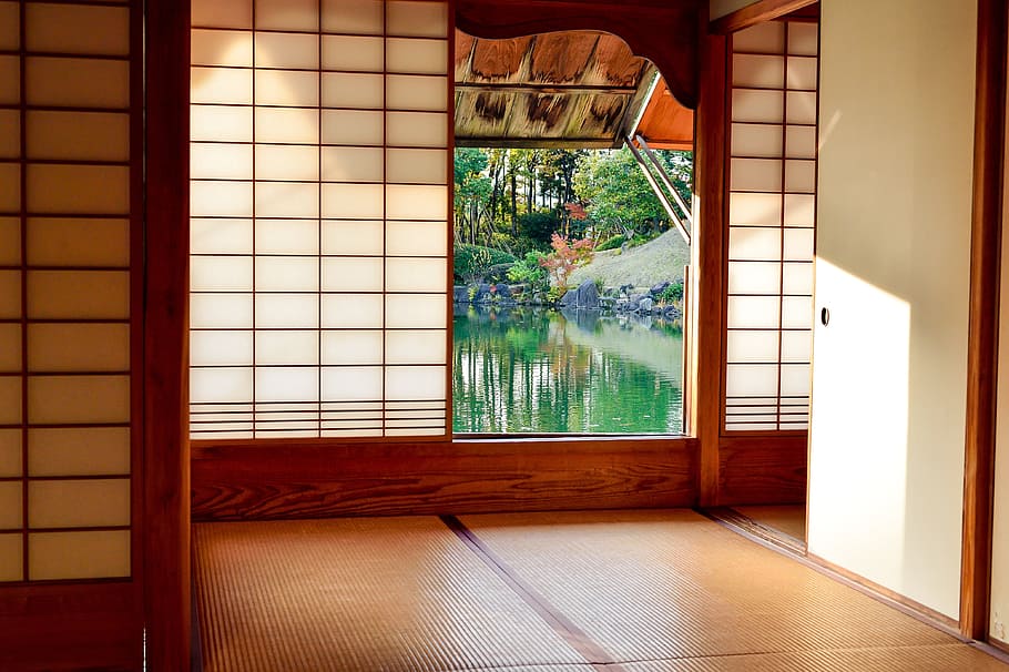 HD wallpaper: clear glass door, trees behind glass panel window, frame,  framed | Wallpaper Flare