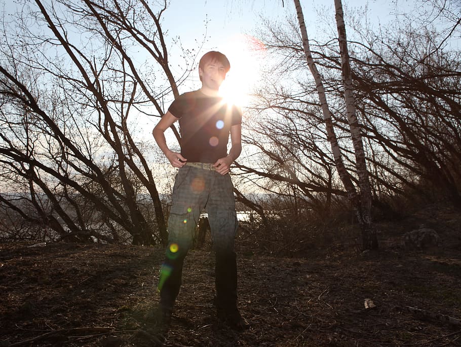 man, sun, standing, woods, tree, flair, rays, person, male HD wallpaper