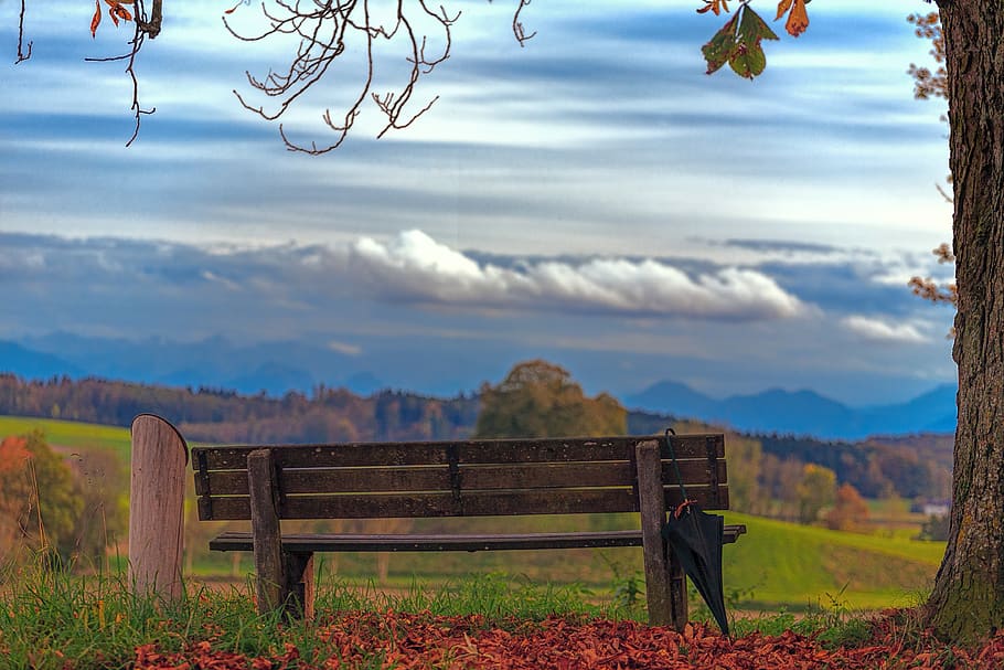 mountains, clouds, rain, bench, um, umbrella, rock, rocks, tree HD wallpaper