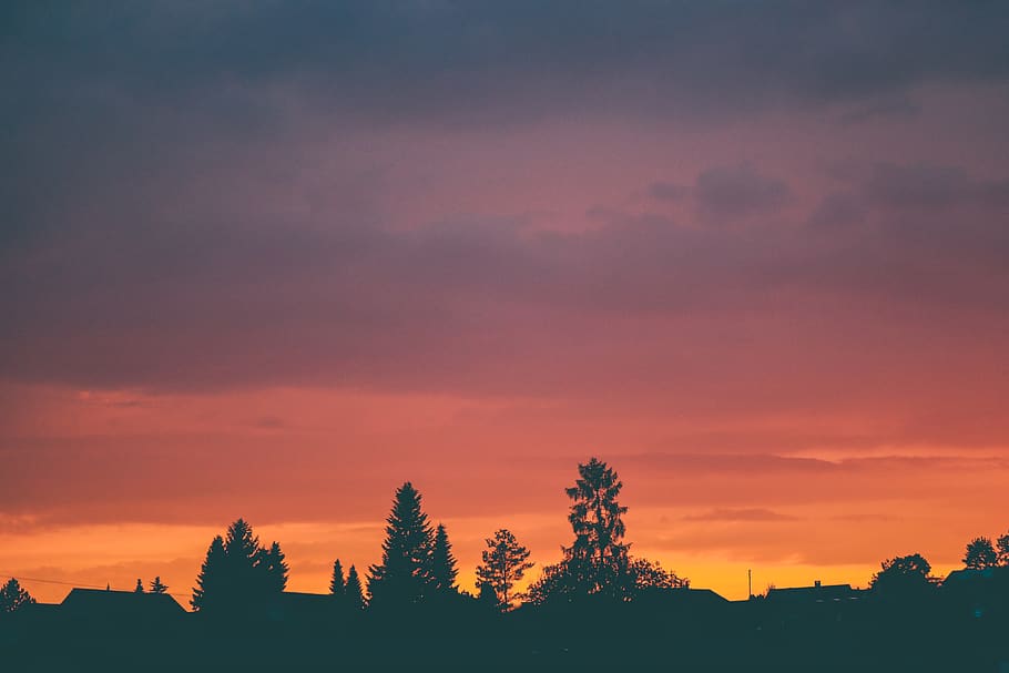switzerland, effretikon, sky, trees, shadows, evening, sun light HD wallpaper