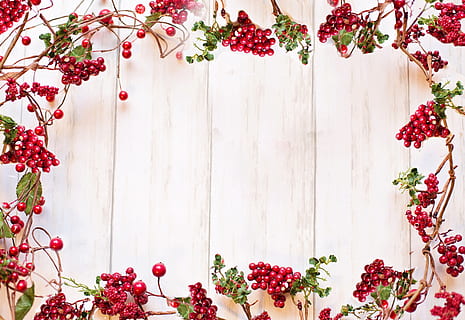 border, frame, text space, red berries, christmas, holiday HD wallpaper