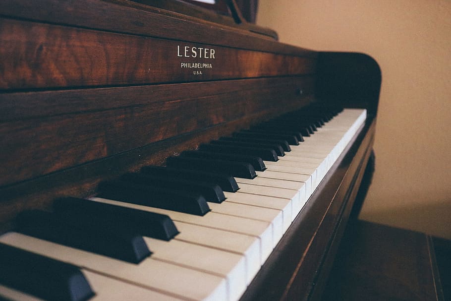 Piano Keys, various, music, musical instrument, musical equipment HD wallpaper