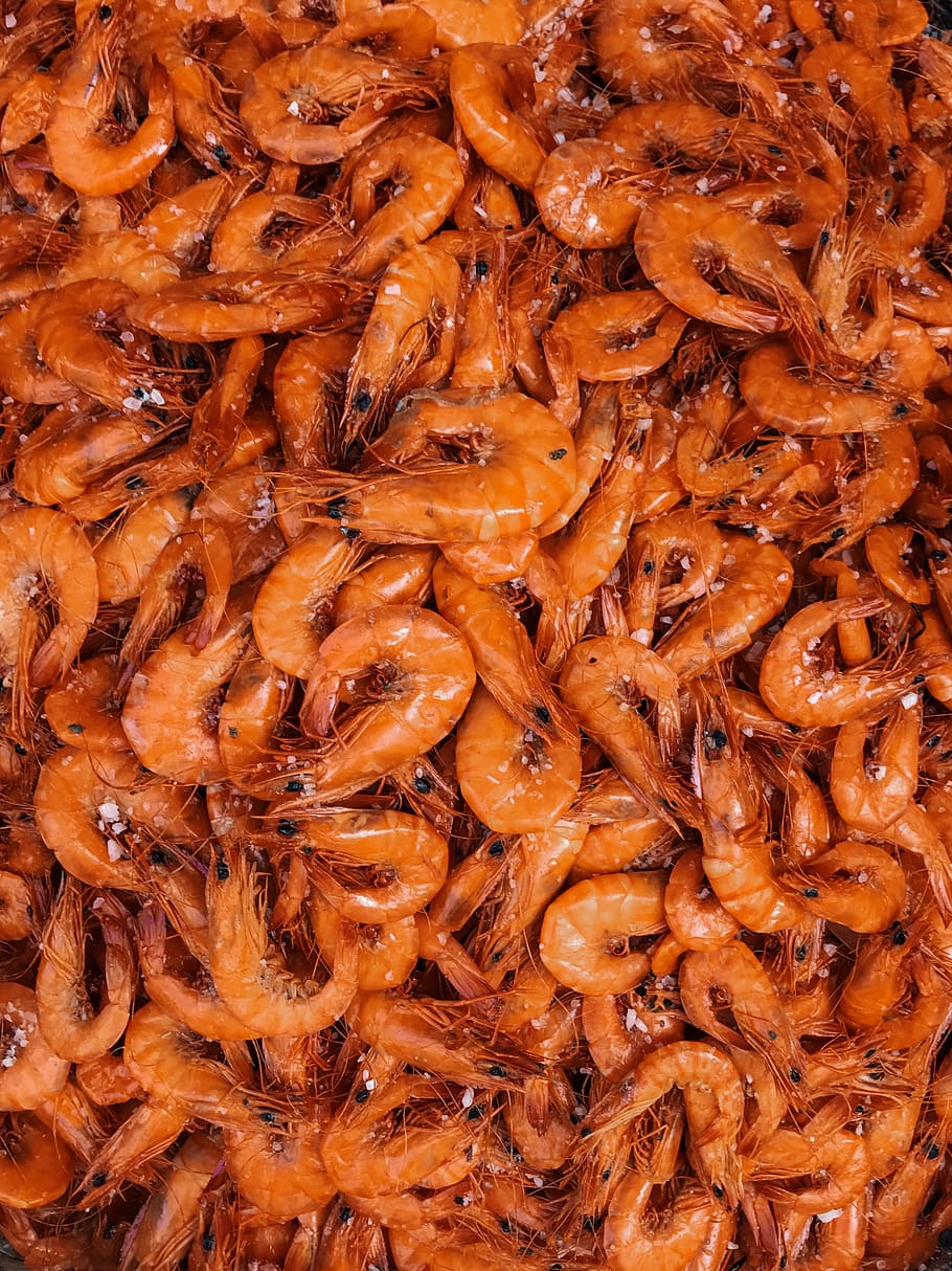 orange shrimp lot, full frame, food, food and drink, backgrounds HD wallpaper