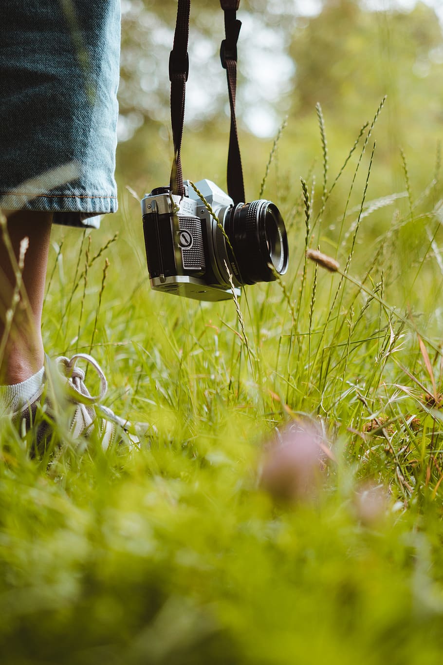 Person Holding Dslr Camera, analog camera, Analogue, classic HD wallpaper