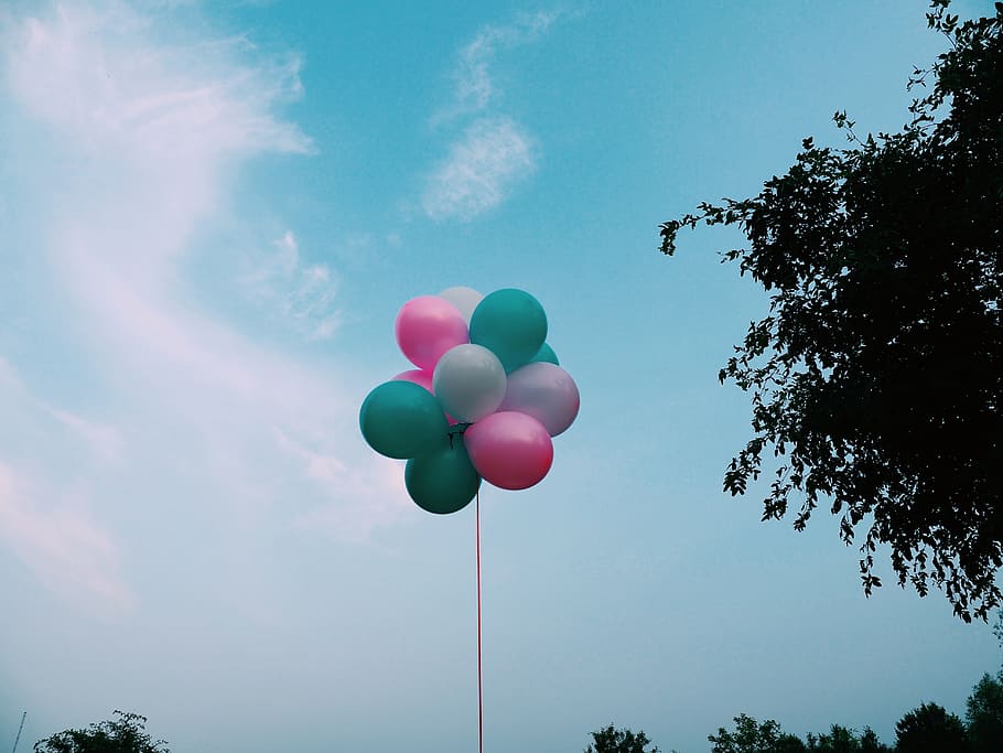 pink, sky, summer, low angle view, plant, balloon, tree, nature HD wallpaper