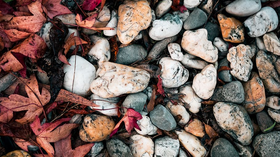 rocks, winter, leaves, ground, full frame, no people, large group of objects HD wallpaper