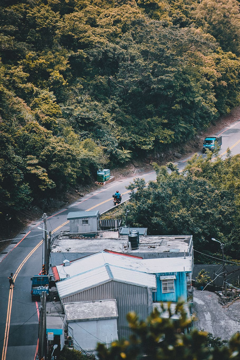 taiwan, tree, trees, road, path, motorcycle, street, peace HD wallpaper
