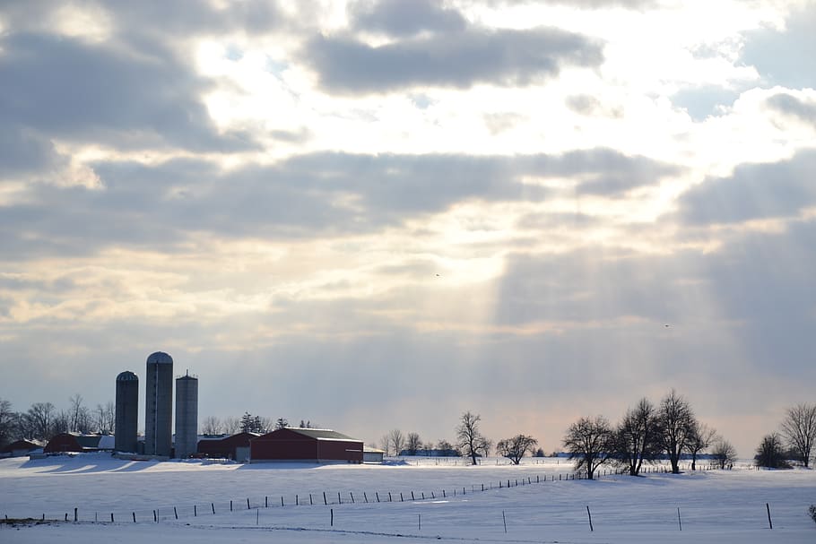 sunbeam, canada, farm, snow, winter, sky, architecture, built structure HD wallpaper