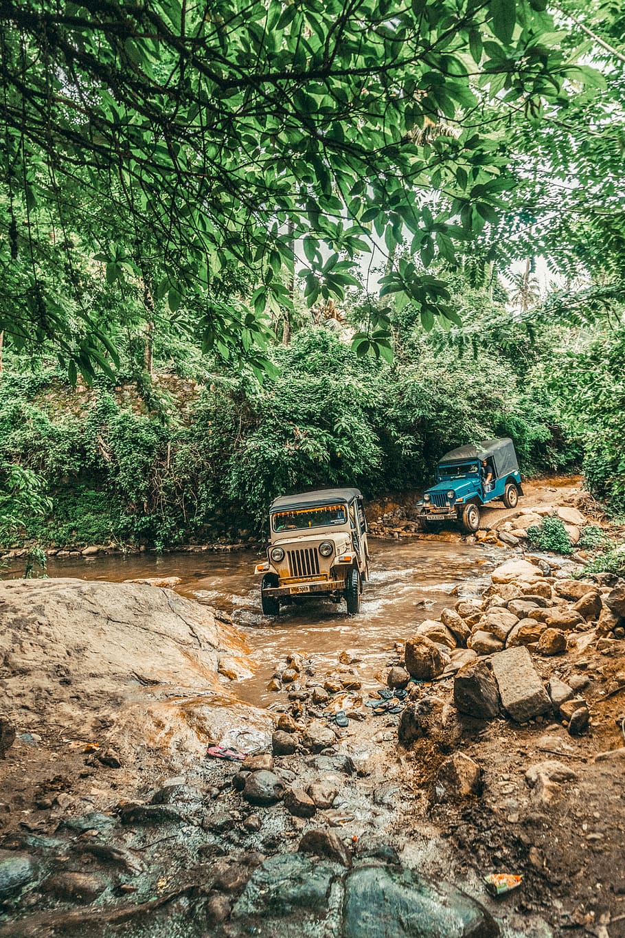 brown and blue Jeep Wranglers on rough road crossing river in forest, HD wallpaper