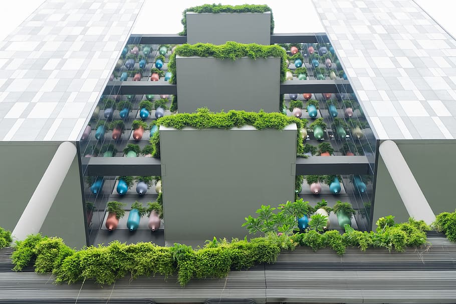 plant, potted plant, architecture, growth, nature, green color HD wallpaper