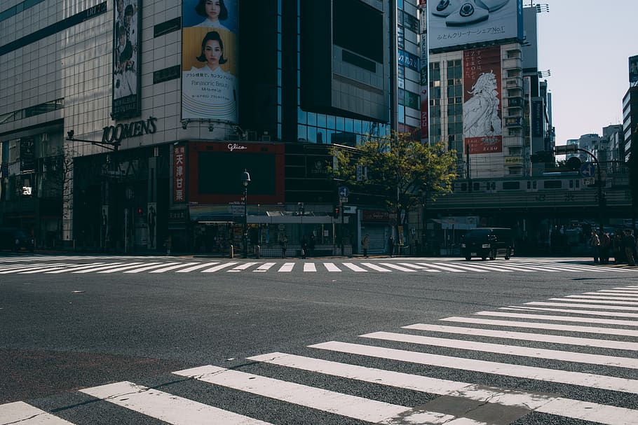 japan, shibuya crossing, crosswalk, tokyo, city, building exterior, HD wallpaper