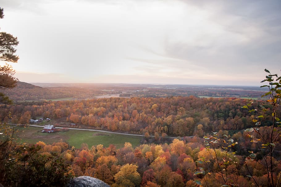 Aerial Photography of Yellow Leaf Trees Under Nimbus Clouds, country HD wallpaper