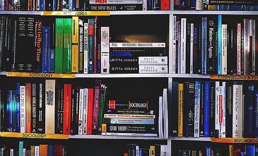 Hd Wallpaper Photography Of Books On Bookshelf Bookcase Bookshelves Information Wallpaper Flare