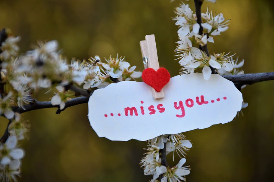 message, lost love, red heart, white flowers, spring, remembering, HD wallpaper