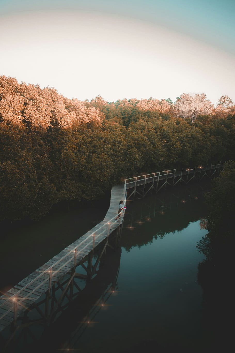 brown wooden bridge during daytime, pier, water, forest, tree HD wallpaper