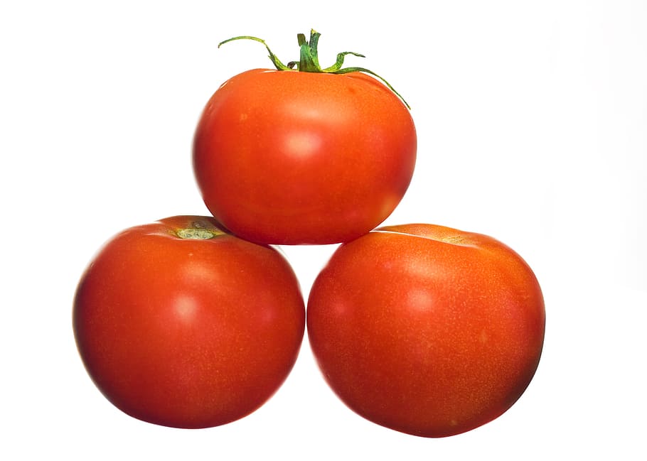 tomatoes, close-up, closeup, diet, dieting, eating, food, fresh HD wallpaper